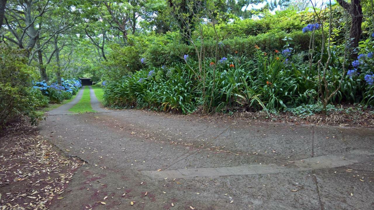 Azores Protea House Lägenhet Lagoa  Exteriör bild