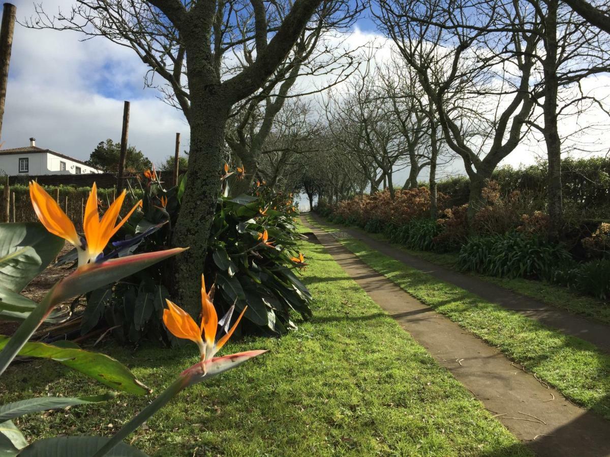 Azores Protea House Lägenhet Lagoa  Exteriör bild