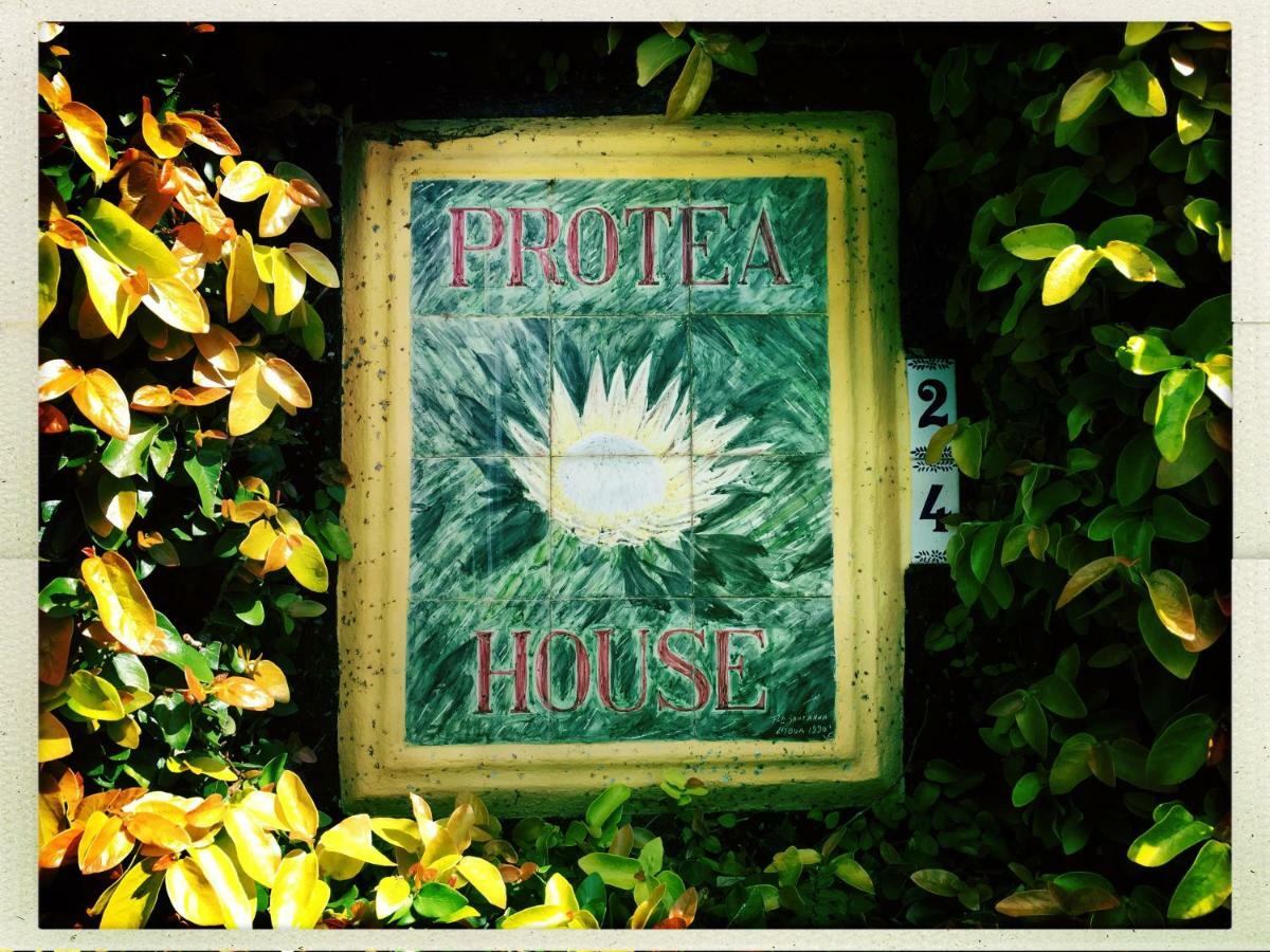 Azores Protea House Lägenhet Lagoa  Exteriör bild